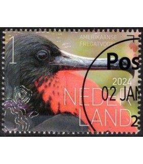 4171 Beleef de natuur Fregatvogel (o) c