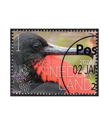 4171 Beleef de natuur Fregatvogel (o) c