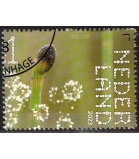 4093 Beleef de natuur Holpijp (o) c