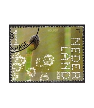 4093 Beleef de natuur Holpijp (o) c