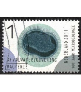 2840 Microbiologie afwalwaterzuivering (o)