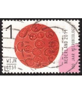 2834 Microbiologie Wijn Gist (o)