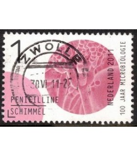 2835 Microbiologie Penicilline (o)