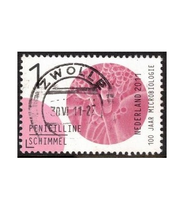 2835 Microbiologie Penicilline (o)