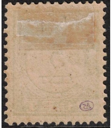 Port 06B Type IV (x) certificaat