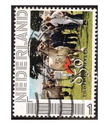 Thuis in Haren (o) 6.