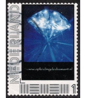 Opleiding de diamant (o)