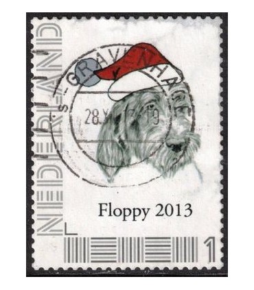 Floppy (o)