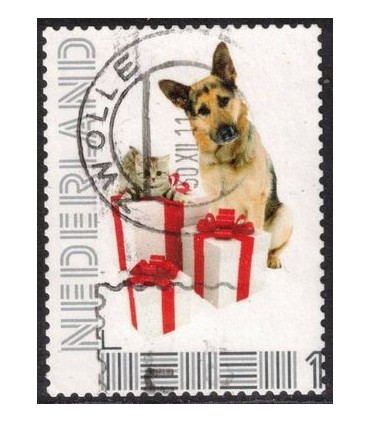 Duitse herder cadeautjes (o)