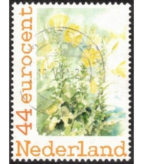 Bloemen koolzaad (o)