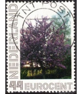 Vlinderstruik groot (o)