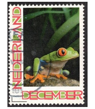 Kerstzegel groene kikker (o)