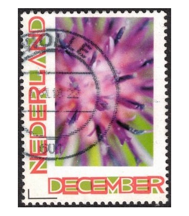 Kerstzegel bloem (o) 2.