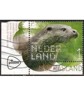 3918 Otter (o) TAB