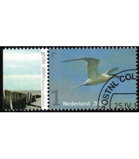 3401 Griend Grote Stern (o) TAB c