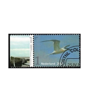 3401 Griend Grote Stern (o) TAB c