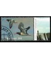 3402 Griend Scholekster (o) TAB c