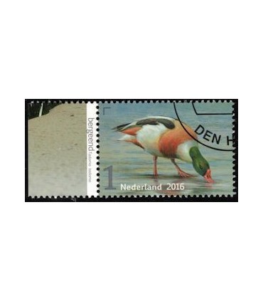 3403 Griend Bergeend (o) TAB c