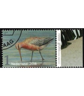 3404 Griend Rosse Grutto (o) TAB c