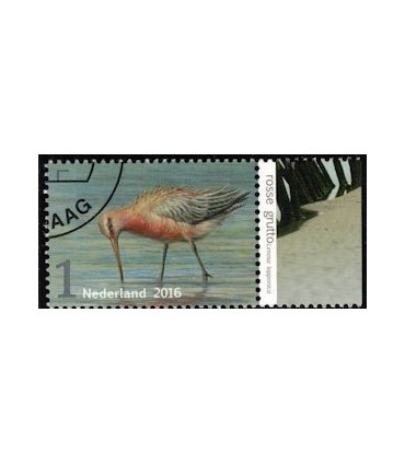 3404 Griend Rosse Grutto (o) TAB c