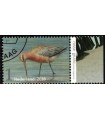 3404 Griend Rosse Grutto (o) TAB c