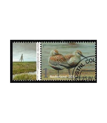 3405 Griend Strandloper (o) TAB c