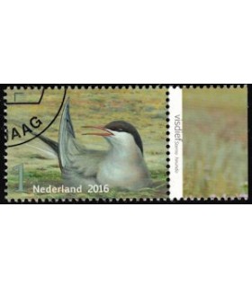 3408 Griend Visdief (o) TAB c