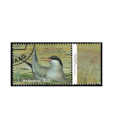 3408 Griend Visdief (o) TAB c