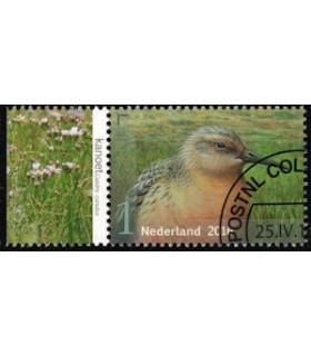 3409 Griend Kanoet (o) TAB c