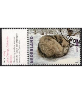 3333 Charlotte Dumas Taza (o) TAB c