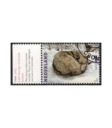 3333 Charlotte Dumas Taza (o) TAB c