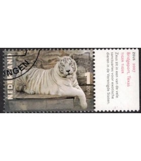 3334 Charlotte Dumas Zeus (o) TAB c