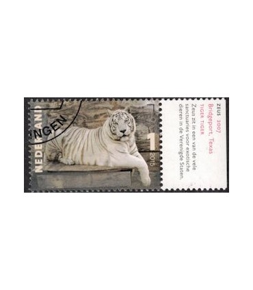 3334 Charlotte Dumas Zeus (o) TAB c