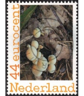 Zwammen (o) 2.