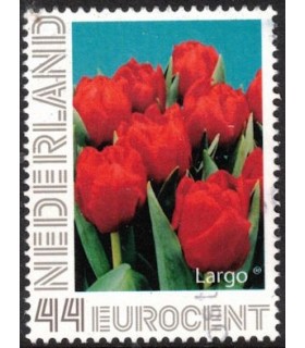 Tulp Largo (o)