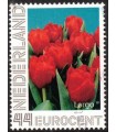 Tulp Largo (o)