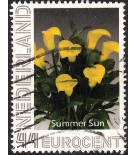 Tulp Summer Sun (o)