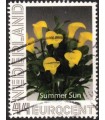 Tulp Summer Sun (o)