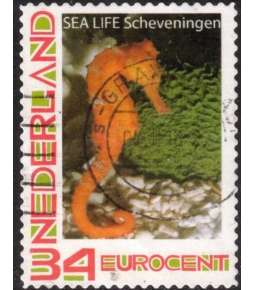 Sealife Scheveningen (o)