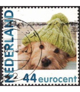 2682 Hc-02 Hallmark Hond met muts (o)