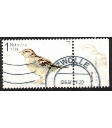 3746 Tuinvogels huismus (o) TAB