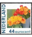 2682 Hb-21 Hallmark Tulpen (xx)