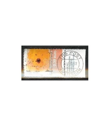 2328 Kunstcollecties TAB (o)