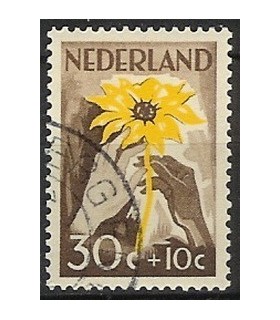 541 NIWIN-zegels (o)