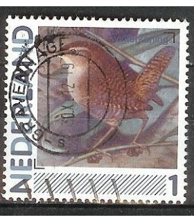 2791? Winterkoning (o)