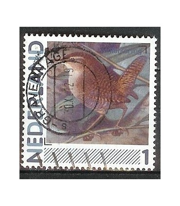 2791? Winterkoning (o)