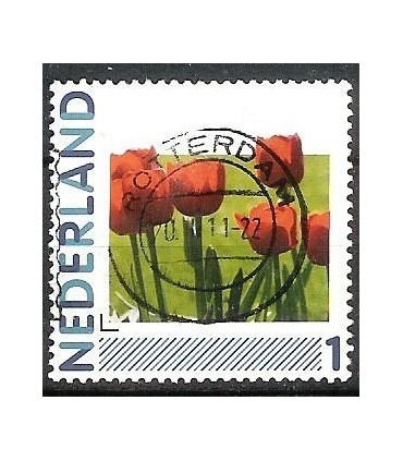 2791Ha-43 Tulpen (o)
