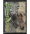 3033 Burgers Zoo zebra (o)