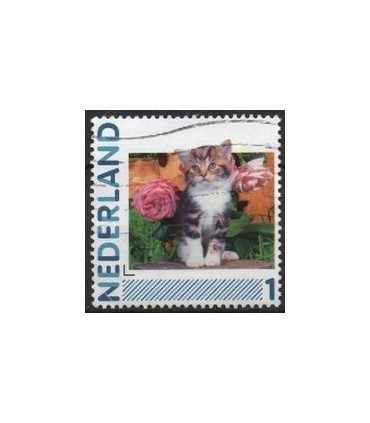 2791Ha-05 Kat en rozen (o)