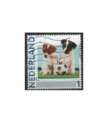 2791Ha-10 Honden en voetbal (o)